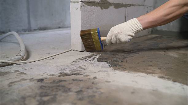 Top rated local Wet Basement Repair specialists in Bunker Hill, IL